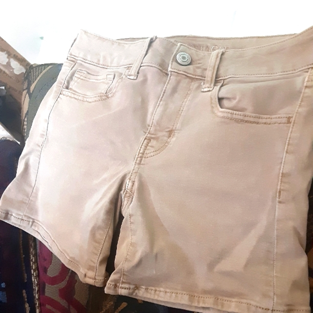 American Eagle Outfitters Shorts size 2